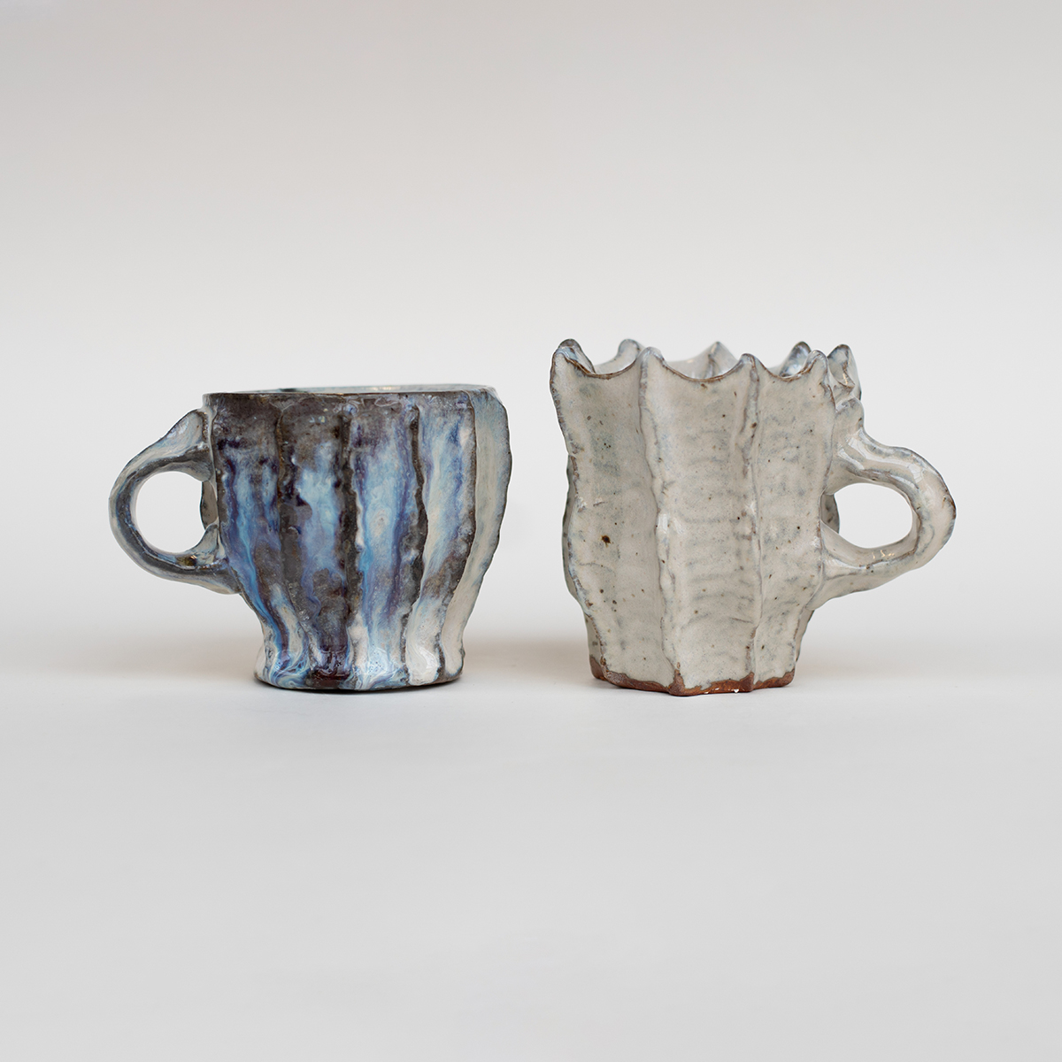 Seed Mugs